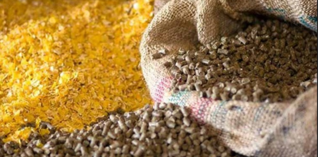 چهارراه مبادلات مافیایی!