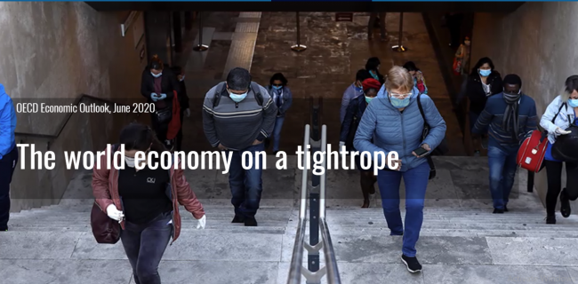 گزارش OECD از ویروس کرونا