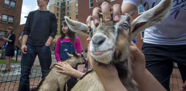 به چه کسب و کاری پناه ببریم؟