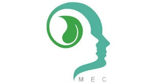 چگونه در نظریه پردازی ها، ماهی گیری را  به جای نظریه ها درس بدهیم؟